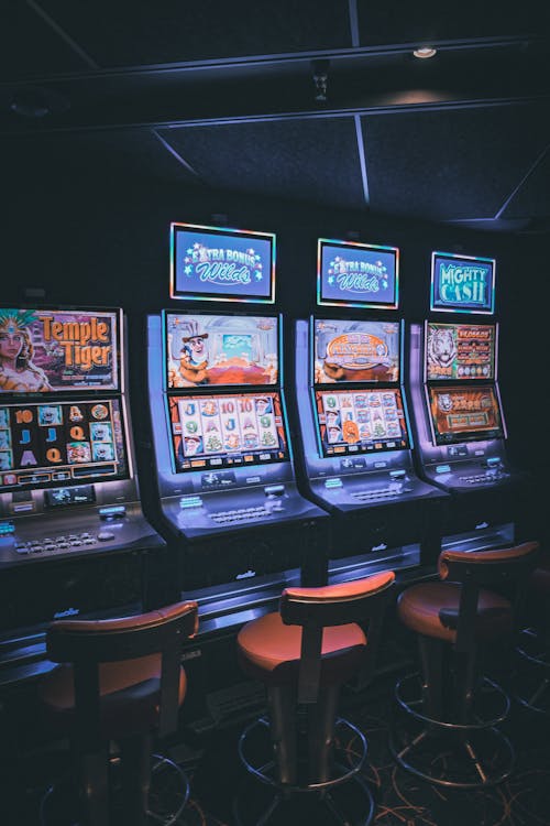 Casino online Felixspin com slots e jogos ao vivo